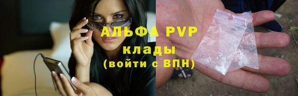 стаф Бронницы
