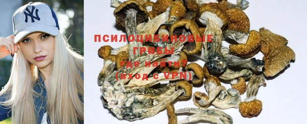 МДПВ Семилуки