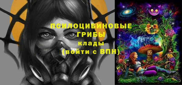 стаф Бронницы