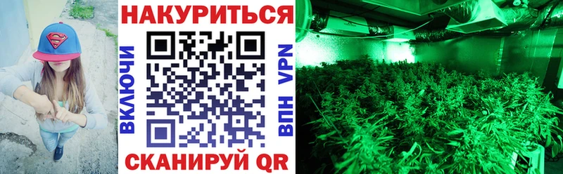 как найти закладки Можайск Каннабис индика